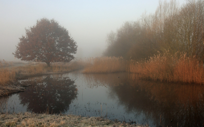 <i class='fa fa-user'></i>&nbsp;Tineke Strijbosch&nbsp;|  Kou en mist&nbsp; <i class='fa fa-eye'>&nbsp;85</i> &nbsp;<i class='fa fa-thumbs-up'>&nbsp;7</i> &nbsp; <i class='fa fa-comment-o'>&nbsp;12</i>