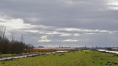 <i class='fa fa-user'></i>&nbsp;kooyammers&nbsp;|  Nespolder in Tegenlicht&nbsp; <i class='fa fa-eye'>&nbsp;81</i> &nbsp;<i class='fa fa-thumbs-up'>&nbsp;5</i> &nbsp; <i class='fa fa-comment-o'>&nbsp;3</i>