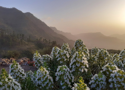 <i class='fa fa-user'></i>&nbsp;koekieman&nbsp;|  Gran Canaria&nbsp; <i class='fa fa-eye'>&nbsp;118</i> &nbsp;<i class='fa fa-thumbs-up'>&nbsp;3</i> &nbsp; <i class='fa fa-comment-o'>&nbsp;6</i>