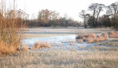 <i class='fa fa-user'></i>&nbsp;nelappelmelk&nbsp;|  Winters landschap met ree&nbsp; <i class='fa fa-eye'>&nbsp;120</i> &nbsp;<i class='fa fa-thumbs-up'>&nbsp;2</i> &nbsp; <i class='fa fa-comment-o'>&nbsp;4</i>