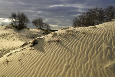 <i class='fa fa-user'></i>&nbsp;Nel R&nbsp;|  Stuifduinen&nbsp; <i class='fa fa-eye'>&nbsp;111</i> &nbsp;<i class='fa fa-thumbs-up'>&nbsp;4</i> &nbsp; <i class='fa fa-comment-o'>&nbsp;5</i>