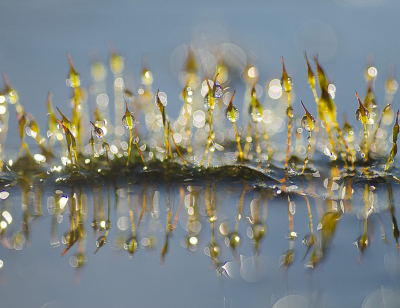 <i class='fa fa-user'></i>&nbsp;Truus Aletta Maan&nbsp;|  Gewoon Purpersteeltje&nbsp; <i class='fa fa-eye'>&nbsp;114</i> &nbsp;<i class='fa fa-thumbs-up'>&nbsp;13</i> &nbsp; <i class='fa fa-comment-o'>&nbsp;10</i>