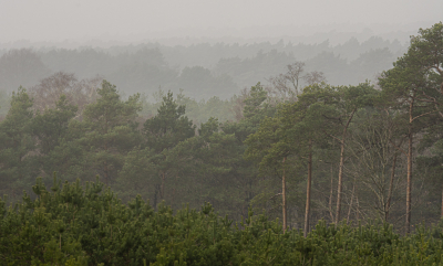 <i class='fa fa-user'></i>&nbsp;ErnovanDoorn&nbsp;|  Lagen in het landschap&nbsp; <i class='fa fa-eye'>&nbsp;76</i> &nbsp;<i class='fa fa-thumbs-up'>&nbsp;1</i> &nbsp; <i class='fa fa-comment-o'>&nbsp;5</i>