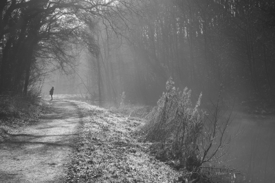 <i class='fa fa-user'></i>&nbsp;Niels72&nbsp;|  Zanderijvaart NPZK Middenduin&nbsp; <i class='fa fa-eye'>&nbsp;109</i> &nbsp; <i class='fa fa-comment-o'>&nbsp;3</i>