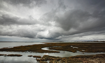 <i class='fa fa-user'></i>&nbsp;Pieter  LJ&nbsp;|  Buien boven de Krabbenkreek&nbsp; <i class='fa fa-eye'>&nbsp;116</i> &nbsp;<i class='fa fa-thumbs-up'>&nbsp;1</i> &nbsp; <i class='fa fa-comment-o'>&nbsp;9</i>