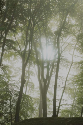 <i class='fa fa-user'></i>&nbsp;hesterb&nbsp;|  Elswout acherkant Marieke's moshelling&nbsp; <i class='fa fa-eye'>&nbsp;84</i> &nbsp;<i class='fa fa-thumbs-up'>&nbsp;1</i> &nbsp; <i class='fa fa-comment-o'>&nbsp;5</i>