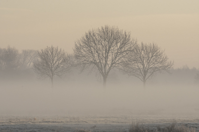 <i class='fa fa-user'></i>&nbsp;ErnovanDoorn&nbsp;|  Nevel rijp en opkomende zon&nbsp; <i class='fa fa-eye'>&nbsp;94</i> &nbsp;<i class='fa fa-thumbs-up'>&nbsp;1</i> &nbsp; <i class='fa fa-comment-o'>&nbsp;13</i>