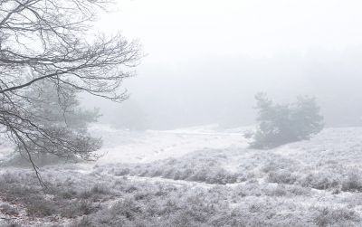 <i class='fa fa-user'></i>&nbsp;nelappelmelk&nbsp;|  Winters&nbsp; <i class='fa fa-eye'>&nbsp;135</i> &nbsp;<i class='fa fa-thumbs-up'>&nbsp;3</i> &nbsp; <i class='fa fa-comment-o'>&nbsp;9</i>