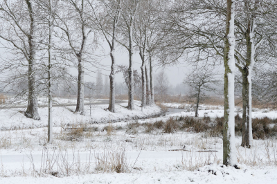 <i class='fa fa-user'></i>&nbsp;Hendrik van Kampen&nbsp;|  Winterlandschap&nbsp; <i class='fa fa-eye'>&nbsp;157</i> &nbsp;<i class='fa fa-thumbs-up'>&nbsp;18</i> &nbsp; <i class='fa fa-comment-o'>&nbsp;16</i>