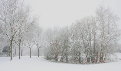 <i class='fa fa-user'></i>&nbsp;Tineke Strijbosch&nbsp;|  En toen werd het toch nog even een witte wereld&nbsp; <i class='fa fa-eye'>&nbsp;113</i> &nbsp;<i class='fa fa-thumbs-up'>&nbsp;2</i> &nbsp; <i class='fa fa-comment-o'>&nbsp;10</i>