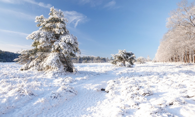 <i class='fa fa-user'></i>&nbsp;nelappelmelk&nbsp;|  Wintersport&nbsp; <i class='fa fa-eye'>&nbsp;169</i> &nbsp;<i class='fa fa-thumbs-up'>&nbsp;9</i> &nbsp; <i class='fa fa-comment-o'>&nbsp;10</i>