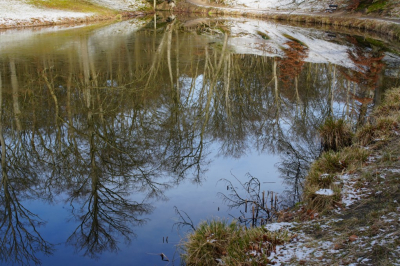 <i class='fa fa-user'></i>&nbsp;hesterb&nbsp;|  Aangelegde vijver&nbsp; <i class='fa fa-eye'>&nbsp;96</i> &nbsp;<i class='fa fa-thumbs-up'>&nbsp;1</i> &nbsp; <i class='fa fa-comment-o'>&nbsp;3</i>