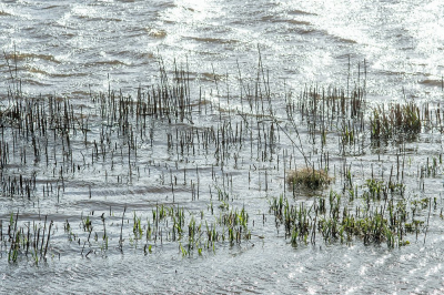 <i class='fa fa-user'></i> Johan van Gurp | Hoog water en wind  <i class='fa fa-eye'> 77</i>   <i class='fa fa-comment-o'> 2</i>
