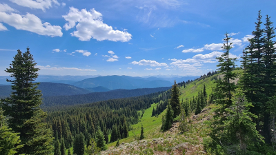 <i class='fa fa-user'></i> Vincent Rijnbende | Uitzicht Alpine Meadows  <i class='fa fa-eye'> 57</i>  <i class='fa fa-thumbs-up'> 1</i>   <i class='fa fa-comment-o'> 4</i>