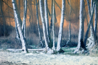 <i class='fa fa-user'></i>&nbsp;kiran&nbsp;|  Sneeuwlandschap&nbsp; <i class='fa fa-eye'>&nbsp;155</i> &nbsp;<i class='fa fa-thumbs-up'>&nbsp;9</i> &nbsp; <i class='fa fa-comment-o'>&nbsp;14</i>