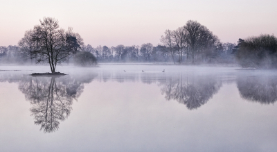 <i class='fa fa-user'></i>&nbsp;nelappelmelk&nbsp;|  Stilte in de vroege morgen&nbsp; <i class='fa fa-eye'>&nbsp;106</i> &nbsp;<i class='fa fa-thumbs-up'>&nbsp;10</i> &nbsp; <i class='fa fa-comment-o'>&nbsp;9</i>