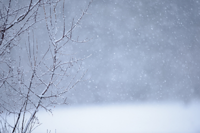 <i class='fa fa-user'></i>&nbsp;Jan Luit&nbsp;|  Sneeuwen&nbsp; <i class='fa fa-eye'>&nbsp;81</i> &nbsp;<i class='fa fa-thumbs-up'>&nbsp;1</i> &nbsp; <i class='fa fa-comment-o'>&nbsp;3</i>