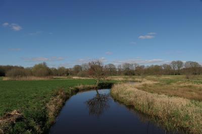 <i class='fa fa-user'></i>&nbsp;frbeuming&nbsp;|  De Reest&nbsp; <i class='fa fa-eye'>&nbsp;69</i> &nbsp;<i class='fa fa-thumbs-up'>&nbsp;2</i> &nbsp; <i class='fa fa-comment-o'>&nbsp;1</i>