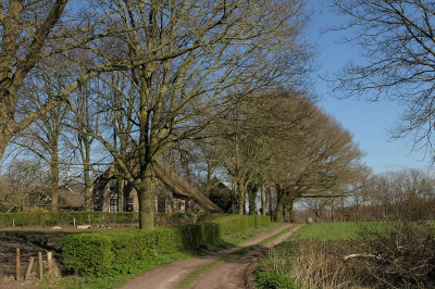 <i class='fa fa-user'></i>&nbsp;frbeuming&nbsp;|  Mens en natuur&nbsp; <i class='fa fa-eye'>&nbsp;93</i> &nbsp; <i class='fa fa-comment-o'>&nbsp;2</i>