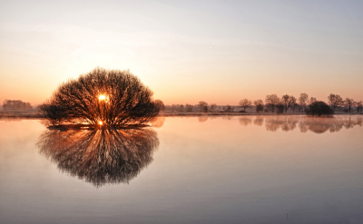 <i class='fa fa-user'></i>&nbsp;nelappelmelk&nbsp;|  Zonsopkomst&nbsp; <i class='fa fa-eye'>&nbsp;119</i> &nbsp;<i class='fa fa-thumbs-up'>&nbsp;7</i> &nbsp; <i class='fa fa-comment-o'>&nbsp;5</i>