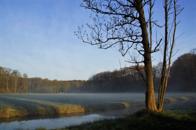 <i class='fa fa-user'></i>&nbsp;hesterb&nbsp;|  Elswout&nbsp; <i class='fa fa-eye'>&nbsp;75</i> &nbsp; <i class='fa fa-comment-o'>&nbsp;0</i>