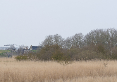 <i class='fa fa-user'></i>&nbsp;Tim Oord&nbsp;|  Ezumakeeg&nbsp; <i class='fa fa-eye'>&nbsp;81</i> &nbsp; <i class='fa fa-comment-o'>&nbsp;0</i>