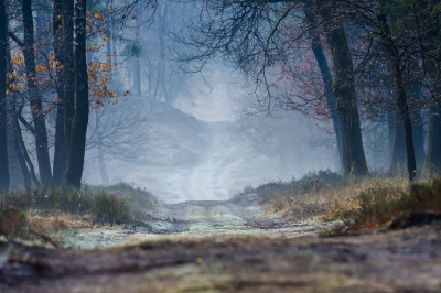 <i class='fa fa-user'></i>&nbsp;ErnovanDoorn&nbsp;|  Bospad&nbsp; <i class='fa fa-eye'>&nbsp;119</i> &nbsp;<i class='fa fa-thumbs-up'>&nbsp;8</i> &nbsp; <i class='fa fa-comment-o'>&nbsp;9</i>