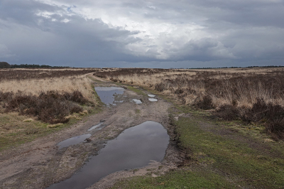 <i class='fa fa-user'></i>&nbsp;nelappelmelk&nbsp;|  Naderende bui&nbsp; <i class='fa fa-eye'>&nbsp;88</i> &nbsp;<i class='fa fa-thumbs-up'>&nbsp;1</i> &nbsp; <i class='fa fa-comment-o'>&nbsp;4</i>