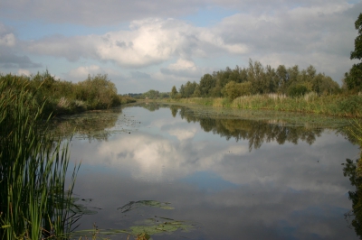 Tijdens mijn onderzoek in de faunapassage een aantal foto's gemaakt van het watertje vlakbij. De spiegeling van de hollandse wolkenlucht maakt deze foto voor mij helemaal af. als je hem op de kop houdt is het bijna een nog mooier plaatje.