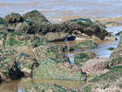 <i class='fa fa-user'></i>&nbsp;susan meijnders&nbsp;|  Rotspartij&nbsp; <i class='fa fa-eye'>&nbsp;80</i> &nbsp;<i class='fa fa-thumbs-up'>&nbsp;2</i> &nbsp; <i class='fa fa-comment-o'>&nbsp;2</i>