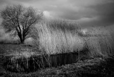 <i class='fa fa-user'></i>&nbsp;B.M.Schouten-Ruis&nbsp;|  Landschap Hitland&nbsp; <i class='fa fa-eye'>&nbsp;81</i> &nbsp;<i class='fa fa-thumbs-up'>&nbsp;7</i> &nbsp; <i class='fa fa-comment-o'>&nbsp;5</i>