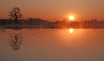 <i class='fa fa-user'></i>&nbsp;nelappelmelk&nbsp;|  Zonsopgang&nbsp; <i class='fa fa-eye'>&nbsp;81</i> &nbsp;<i class='fa fa-thumbs-up'>&nbsp;8</i> &nbsp; <i class='fa fa-comment-o'>&nbsp;7</i>