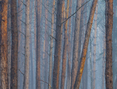 <i class='fa fa-user'></i>&nbsp;ErnovanDoorn&nbsp;|  Grove Den&nbsp; <i class='fa fa-eye'>&nbsp;75</i> &nbsp;<i class='fa fa-thumbs-up'>&nbsp;5</i> &nbsp; <i class='fa fa-comment-o'>&nbsp;6</i>