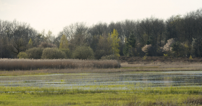 <i class='fa fa-user'></i>&nbsp;Hendrik van Kampen&nbsp;|  Dalvormige laagte&nbsp; <i class='fa fa-eye'>&nbsp;84</i> &nbsp;<i class='fa fa-thumbs-up'>&nbsp;1</i> &nbsp; <i class='fa fa-comment-o'>&nbsp;3</i>