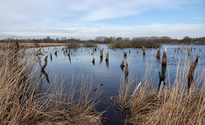 <i class='fa fa-user'></i>&nbsp;nelappelmelk&nbsp;|  Vernatting&nbsp; <i class='fa fa-eye'>&nbsp;74</i> &nbsp; <i class='fa fa-comment-o'>&nbsp;1</i>