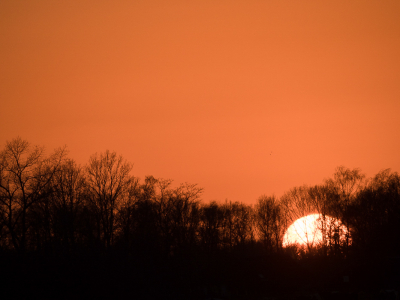 <i class='fa fa-user'></i> Truus Aletta Maan | Zonsondergang  <i class='fa fa-eye'> 47</i>  <i class='fa fa-thumbs-up'> 1</i>   <i class='fa fa-comment-o'> 2</i>
