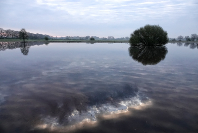 <i class='fa fa-user'></i>&nbsp;nelappelmelk&nbsp;|  Verstild landschap&nbsp; <i class='fa fa-eye'>&nbsp;81</i> &nbsp;<i class='fa fa-thumbs-up'>&nbsp;3</i> &nbsp; <i class='fa fa-comment-o'>&nbsp;8</i>