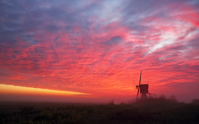 <i class='fa fa-user'></i>&nbsp;Pieter  LJ&nbsp;|  Broekmolen&nbsp; <i class='fa fa-eye'>&nbsp;120</i> &nbsp;<i class='fa fa-thumbs-up'>&nbsp;14</i> &nbsp; <i class='fa fa-comment-o'>&nbsp;13</i>