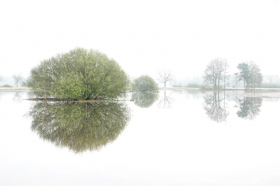 <i class='fa fa-user'></i>&nbsp;nelappelmelk&nbsp;|  Landschap anders&nbsp; <i class='fa fa-eye'>&nbsp;108</i> &nbsp;<i class='fa fa-thumbs-up'>&nbsp;17</i> &nbsp; <i class='fa fa-comment-o'>&nbsp;10</i>