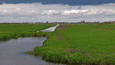 <i class='fa fa-user'></i>&nbsp;kooyammers&nbsp;|  Zicht op de Bachtenaar&nbsp; <i class='fa fa-eye'>&nbsp;51</i> &nbsp;<i class='fa fa-thumbs-up'>&nbsp;1</i> &nbsp; <i class='fa fa-comment-o'>&nbsp;4</i>