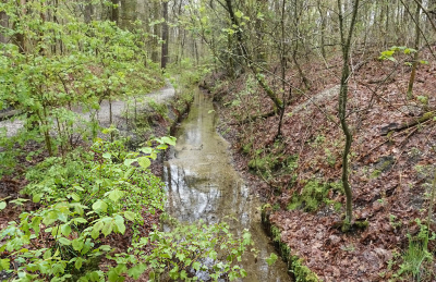 <i class='fa fa-user'></i>&nbsp;nelappelmelk&nbsp;|  Voorjaarsgroen&nbsp; <i class='fa fa-eye'>&nbsp;74</i> &nbsp;<i class='fa fa-thumbs-up'>&nbsp;1</i> &nbsp; <i class='fa fa-comment-o'>&nbsp;3</i>