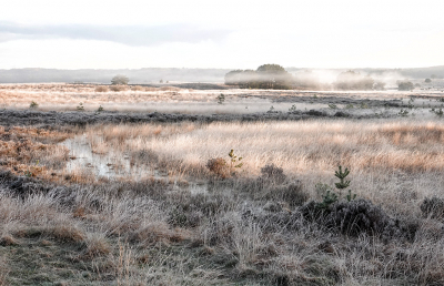 <i class='fa fa-user'></i>&nbsp;nelappelmelk&nbsp;|  Laatste winterse speldenprik&nbsp; <i class='fa fa-eye'>&nbsp;95</i> &nbsp;<i class='fa fa-thumbs-up'>&nbsp;4</i> &nbsp; <i class='fa fa-comment-o'>&nbsp;9</i>