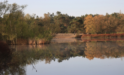 <i class='fa fa-user'></i>&nbsp;Tineke Strijbosch&nbsp;|  Vroege ochtend Siepelveen&nbsp; <i class='fa fa-eye'>&nbsp;68</i> &nbsp;<i class='fa fa-thumbs-up'>&nbsp;3</i> &nbsp; <i class='fa fa-comment-o'>&nbsp;7</i>