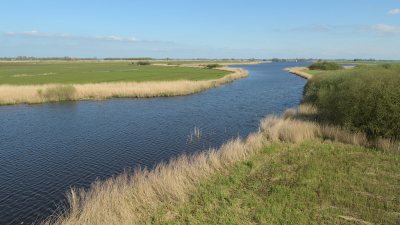 <i class='fa fa-user'></i>&nbsp;Hendrik van Kampen&nbsp;|  Easterwimerts&nbsp; <i class='fa fa-eye'>&nbsp;88</i> &nbsp;<i class='fa fa-thumbs-up'>&nbsp;4</i> &nbsp; <i class='fa fa-comment-o'>&nbsp;5</i>