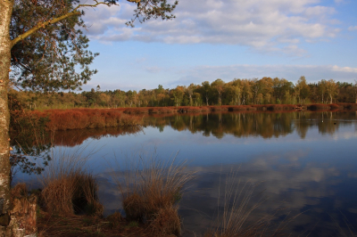 <i class='fa fa-user'></i>&nbsp;Tineke Strijbosch&nbsp;|  Vroege ochtend Siepelveen (2)&nbsp; <i class='fa fa-eye'>&nbsp;77</i> &nbsp;<i class='fa fa-thumbs-up'>&nbsp;3</i> &nbsp; <i class='fa fa-comment-o'>&nbsp;9</i>