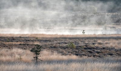 <i class='fa fa-user'></i>&nbsp;nelappelmelk&nbsp;|  Opstijgende waterdamp&nbsp; <i class='fa fa-eye'>&nbsp;114</i> &nbsp;<i class='fa fa-thumbs-up'>&nbsp;4</i> &nbsp; <i class='fa fa-comment-o'>&nbsp;6</i>