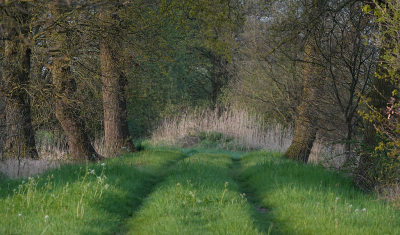 <i class='fa fa-user'></i>&nbsp;nelappelmelk&nbsp;|  Lentepad&nbsp; <i class='fa fa-eye'>&nbsp;91</i> &nbsp;<i class='fa fa-thumbs-up'>&nbsp;1</i> &nbsp; <i class='fa fa-comment-o'>&nbsp;6</i>