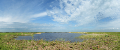 <i class='fa fa-user'></i>&nbsp;Hendrik van Kampen&nbsp;|  Langsturtepoel&nbsp; <i class='fa fa-eye'>&nbsp;78</i> &nbsp;<i class='fa fa-thumbs-up'>&nbsp;2</i> &nbsp; <i class='fa fa-comment-o'>&nbsp;3</i>