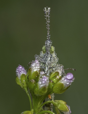 <i class='fa fa-user'></i>&nbsp;Remon&nbsp;|  Oranjetipje&nbsp; <i class='fa fa-eye'>&nbsp;99</i> &nbsp;<i class='fa fa-thumbs-up'>&nbsp;6</i> &nbsp; <i class='fa fa-comment-o'>&nbsp;7</i>