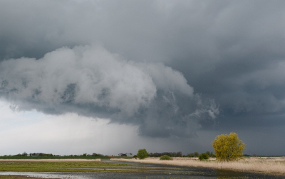 <i class='fa fa-user'></i>&nbsp;Tim Oord&nbsp;|  Bui&nbsp; <i class='fa fa-eye'>&nbsp;109</i> &nbsp;<i class='fa fa-thumbs-up'>&nbsp;12</i> &nbsp; <i class='fa fa-comment-o'>&nbsp;8</i>